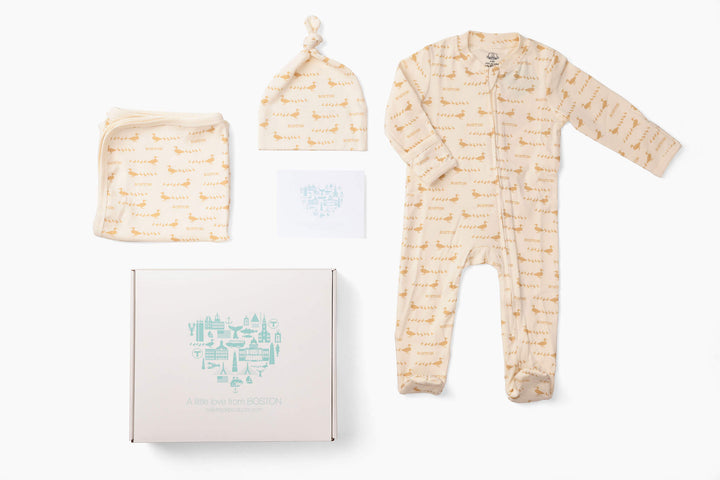 Make Way for Ducklings Boston-themed baby gift set